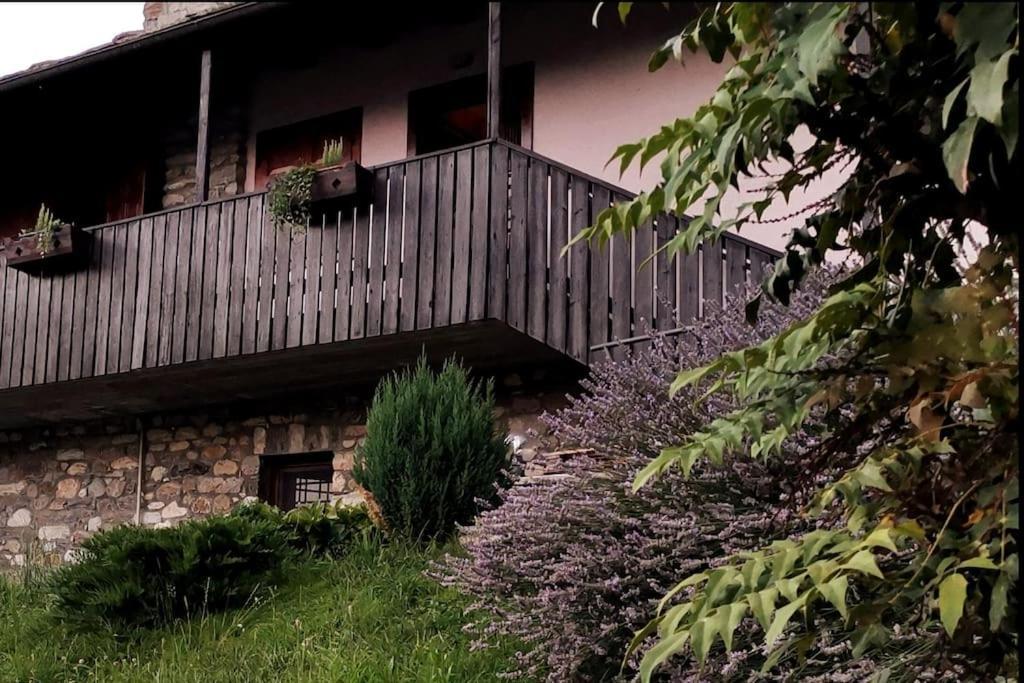 La Maison De Carmen أَويستا المظهر الخارجي الصورة