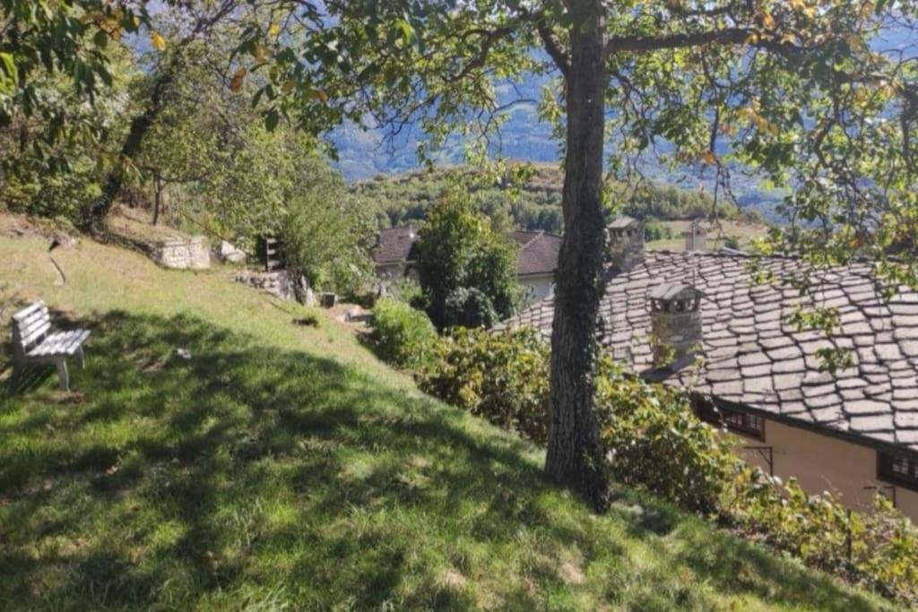 La Maison De Carmen أَويستا المظهر الخارجي الصورة